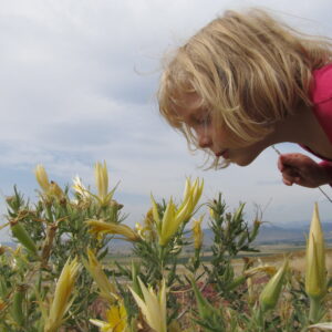 Let’s Talk Parenting: An 8-Week Jumpstart to Calmer, More Connected Family Life – May 6 through June 24, 2025, 11 am – 1 pm MT Edmonton (16 Hours, Online) - One Person